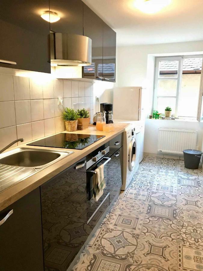 Myalsace Apartment Colmar Bagian luar foto